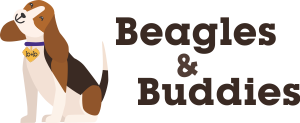 Beagles and Buddies